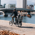 Cargar la imagen en la vista de la galería, Thule Asiento Trasero Yepp Nexxt Maxi 2